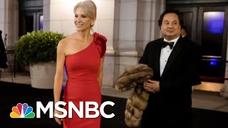 The Bizarre World Of Kellyanne Conway amp George Conway  Deadline  MSNBC [upl. by Rehptosirhc136]