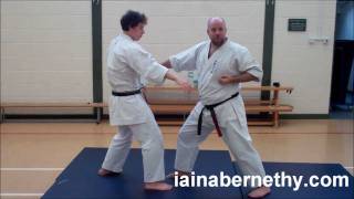 Practical Kata Bunkai Pinan Nidan  Heian Shodan Moves 3 to 6 [upl. by Kopple408]