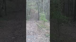 Strolling up pipeline on my yz125 dirtbikehillclimb hillclimb dirtbike [upl. by Dorkus]