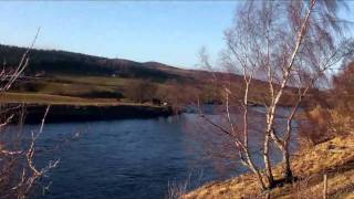 The Speyside Way from Boat of Garten to Grantown on Spey 1st Feb 2011 [upl. by Williamson]