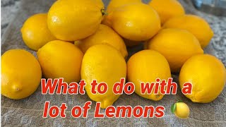 How to preserve Lemons  What to do with a lot of Lemons [upl. by Sudnor450]