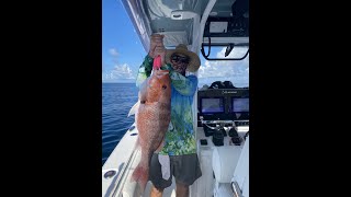 32 inch Red Snapper [upl. by Willtrude]