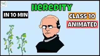 Heredity class 10  Full chapter explanation  Under 10 min  Animated  CBSE [upl. by Nazario943]