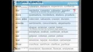 prefijos y sufijoswmv [upl. by Ras]