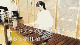 Birdscape for marimba op20 バードスケイプ吉松隆 [upl. by Amahcen215]