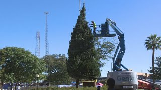 Christmas tree delivered to Travis Park [upl. by Etteinotna]