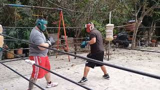 Dogo ARGENTINO VS Alcapone peleadores boxing [upl. by Eolhc]