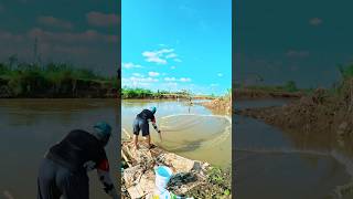 shorts 205  fisherman Catching fish using casting nets fishing castnetfishing castnetfish [upl. by Berliner]