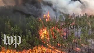 Australias wildfires are still raging Heres what you need to know [upl. by Llehctim527]