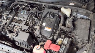 I Own a 481778 Mile Corolla Hybrid For 5 Years Heres what I learned [upl. by Marjana]