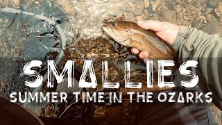 Summer Time Smallies In The Ozarks flyfishing smallmouth ozarks catchreleaserepeat [upl. by Riancho]