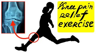 Knee pain relief exercise [upl. by Anelle]