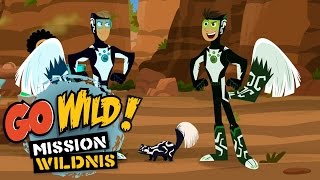 Go Wild Mission Wildnis  Angriff der Stinktiere  Folge 21 [upl. by Olgnaed]