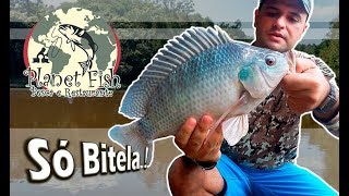 Grandes Tilápias na UL Ultralight  Pesqueiro Planet Fish [upl. by Esya]