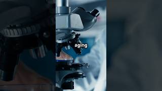 The Secret to Aging with Vitality 🧬antiaging young brains [upl. by Iinde]