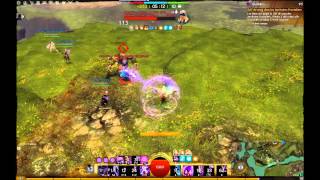 Guild Wars 2 Epic Mesmer WvW Montage Vol1 [upl. by Eirod]