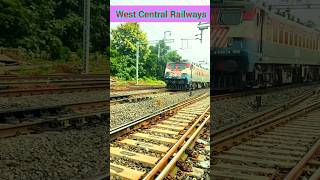 Wag 7 crossing salaia railway station wcr railwaystation railway wdp trending shorts reels [upl. by Enalb473]