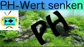 Den PHWert senken15 [upl. by Noble]