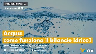 ACQUA COME FUNZIONA IL BILANCIO IDRICO [upl. by Aubrey]