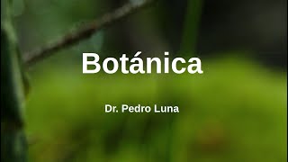 Introducción a la Botánica ¿Qué es una planta [upl. by Isabella]