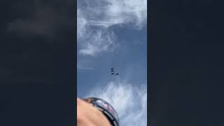 4 T38 Talons from Whiteman AFB preforming the Steelers home opener flyover [upl. by Giltzow]