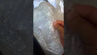 Bubble Wrap 🤣🤦‍♀️ [upl. by Cirone]