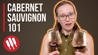 Cabernet Sauvignon Everything You Need To Know  Grapes 101 [upl. by Rhpotsirhc]