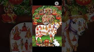 Gomatha chalisa good mantra gomatha hinduism telugu telugudevotionalsongs [upl. by Lydie]