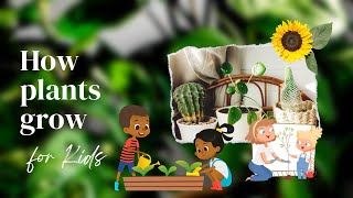 Why do plants grow  For Kids [upl. by Amarillas]