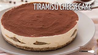 Tiramisù Cheesecake  Tiramisuit [upl. by Crosby]