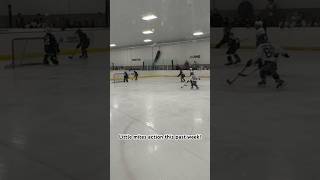 Littlest playing mites this past week jrmavs ohc icehawks [upl. by Mayap]