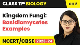 Kingdom Fungi Class  Basidiomycetes  Examples  Class 11 Biology Chapter 2  NCERTCBSE [upl. by Brightman]