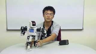 rero Tutorial 19  Kunimoto Robot [upl. by Soisanahta]