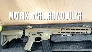 Reviewing the matrix warlord AEG [upl. by Kannry850]