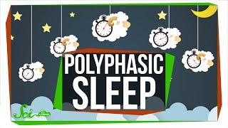 What Do Scientists Really Know About Polyphasic Sleep [upl. by Resneps]