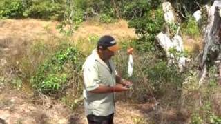 Pennefather River Fishing Trip July 09  Cape York Australia [upl. by Aniad]