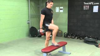 Free weight exercises  Dumbbell Step Up [upl. by Shute]