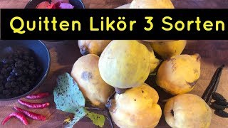 ⭐⭐ Quitten Likör selber herstellen Rezept  3 verschiedene Quitten Likör Rezepte ⭐⭐ [upl. by Ayhdiv]