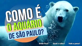 Como que é o aquário de São Paulo  Onde fica e qual o valor  VALE A PENA [upl. by Asiek]