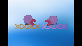 Dr Mats Ljungman KLIPP Targeting Cancer with CRISPR [upl. by Ydnic47]