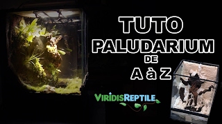 TUTO  CREER UN TERRARIUM PLANTÉ  PALUDARIUM [upl. by Aldis]