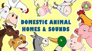 Domestic Animal Homes amp Sounds  Educational Rhymes  Nursery Rhymes for Children [upl. by Raasch91]