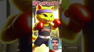 Revenge of father 😭😭  yellow cat 🆚 white cat  cat kitten cute catlover cutecat shorts 8 [upl. by Seniag]