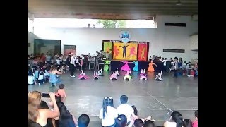 MUESTRA ARTISTICA EDUCACION FISICA NIVEL INICIAL SALA 4 AÑOS [upl. by Nylcoj541]