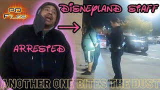 Another Disney Employee Arrested For Luring A Child  CC Unit  PDFiles TV [upl. by Mroz]