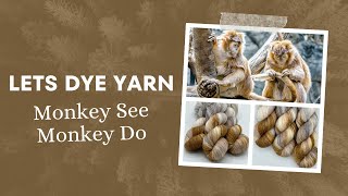 Lets Make Hand Dyed Yarn  Monkey See Monkey Do [upl. by Nadnarb]