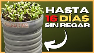 🌱 MACETA con AUTORRIEGO con BOTELLAS de PLÁSTICO RECICLADAS 💧 [upl. by Dilahk]