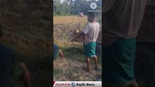 Paddy Harvester Machine [upl. by Airad]