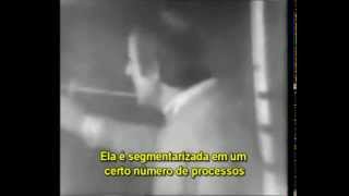 Gilles Deleuze quotDois regimes de signosquot legendas em português [upl. by Akimaj]