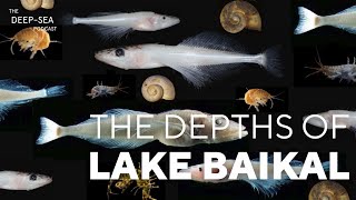 DIVE INTO THE DEPTHS OF LAKE BAIKAL with Marianne Moore  The DeepSea Podcast  Episode 47 [upl. by Vinny]